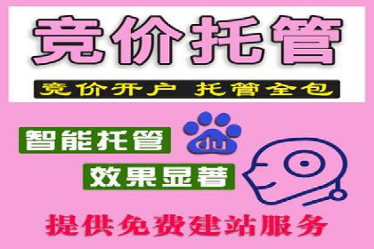揭秘SEM服务托管助力企业增长案例